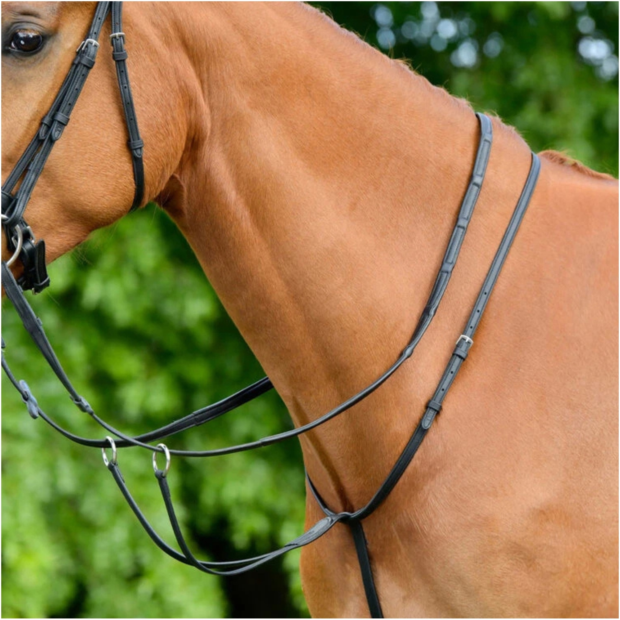 Collegiate Comfitec Opulux Plain Flat Running Martingale 1025461001 - Black